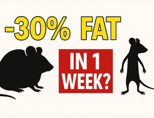 Mice Lost 30% Body Fat in 1 Week – While Eating Fat?