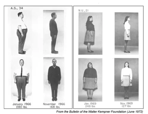 The Rice-and-Sugar Diet That Reversed “Irreversible” Disease